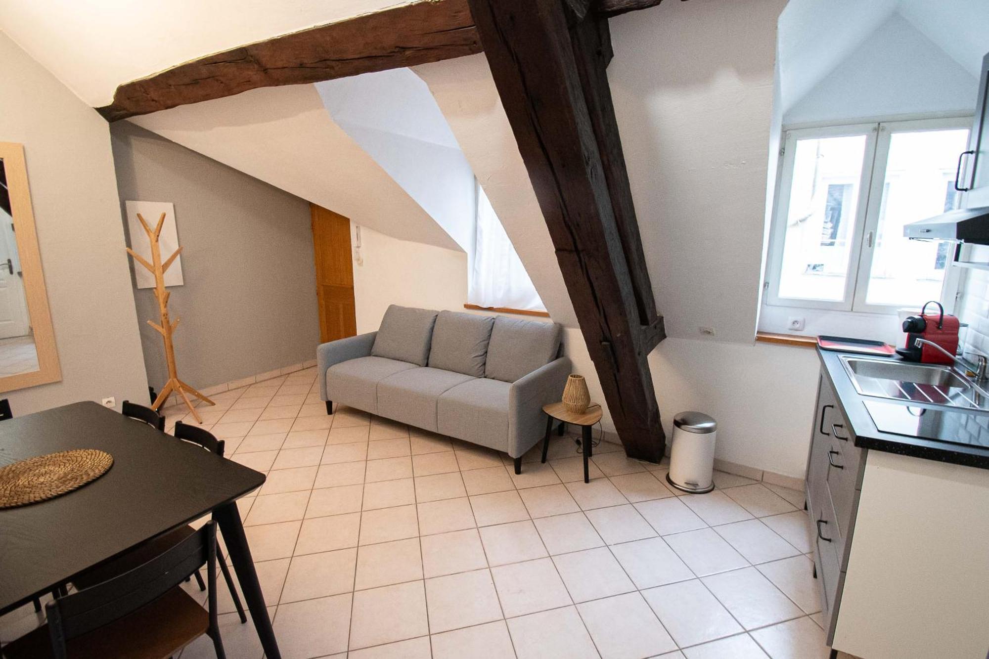 Residence Le Zola Compose De 3 Appartements Distincts En Hyper Centre De Dijon Avec Wifi Екстериор снимка
